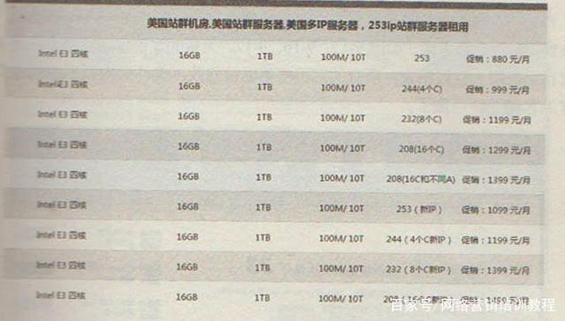 站群系统：构建企业流量池的秘密武器