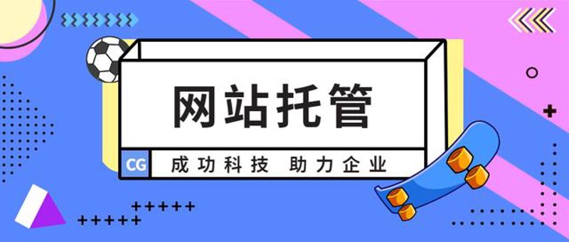 互联网时代的新生力量——站群程序出售市场洞察